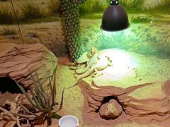 -正佳雨林生态植物园