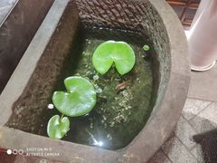 -三只耳火锅(宽窄巷子店)