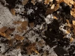 -山与蓝·轻糖鲜果蛋糕(勒泰店)