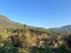 -塔川景区