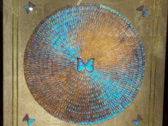 -上海昆虫博物馆