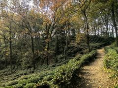 -九曜山
