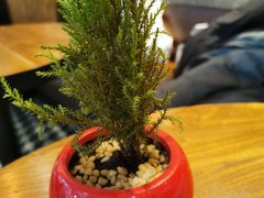 -Moka Bros 摩卡站(西单大悦城店)