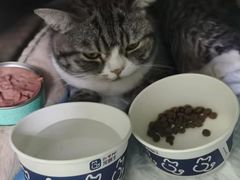 -宠颐生汉谟拉比宠物医院