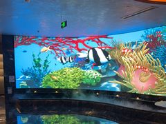 -唐宫足道·SPA·住宿24H会所(木渎店)