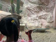 -昆明动物园