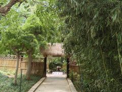 -大连植物园