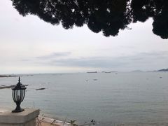 景观位-如花大师咖啡·