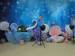 -西安曲江海洋极地公园