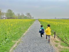 -汉长安城未央宫国家考古遗址公园