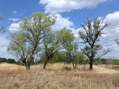 -野鸭湖国家湿地公园