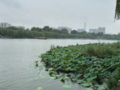 -济南大明湖景区