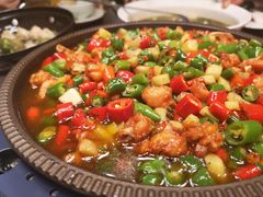 尖椒兔-拈菜(观音桥阳光世纪店)