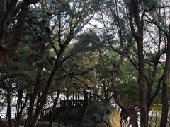 -宋井风景区