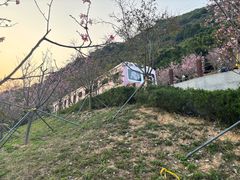 -小南山公园