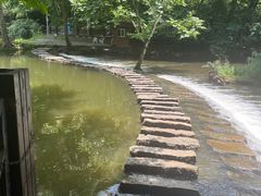 -阿哈湖国家湿地公园