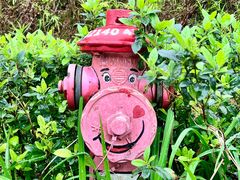 -东钱湖旅游度假区