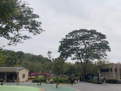 -东莞植物园
