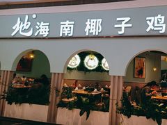 -春润大地海南椰子鸡(沙井京基百纳广场店)