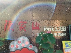 -陈家山荷花公园