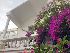 -尼玛藏家风味园(阿山食城店)
