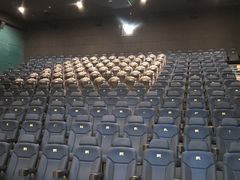 -SFC上影百联影城(八佰伴IMAX店)