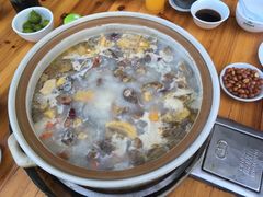 -16年老字号鑫鑫猪肚鸡·椰子鸡海南火锅(兴隆华侨农场店)
