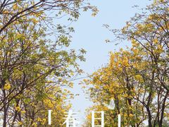 -洲头咀公园