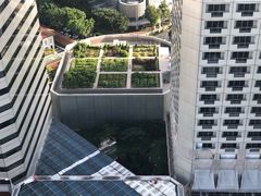 -新加坡瑞士史丹福酒店