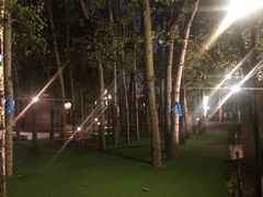 -蒙古大营(朝阳公园店)