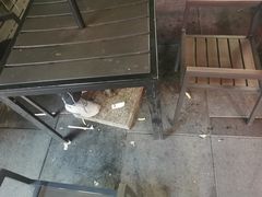 -汉堡王(北京三里屯购物中心)