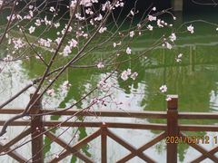 -迎泽公园