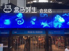 门面-盒马鲜生(杭州运河上街店)