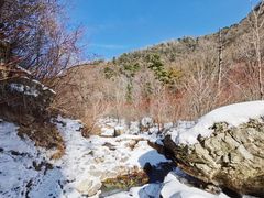 -秦岭风景区