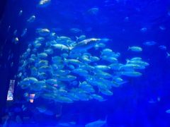 -鹿儿岛水族馆