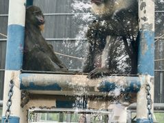 -鄂尔多斯野生动物园