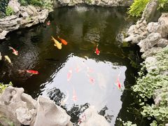 -鲤院·新中式美学·庭院餐厅(夫子庙店)