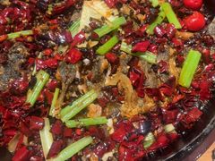 -老板恋上鱼(恒隆广场店)