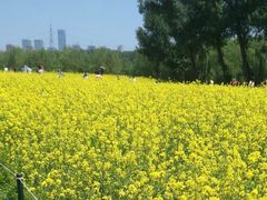 -长白岛森林公园