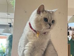 -小时光咖啡馆(北锣鼓巷店)