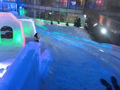 -世界之窗阿尔卑斯冰雪世界
