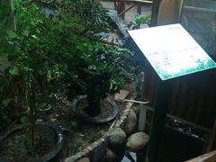 -上海大自然野生昆虫馆