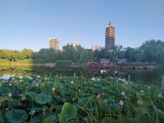 -西海子公园