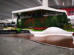 -广州白云国际机场-T2航站楼