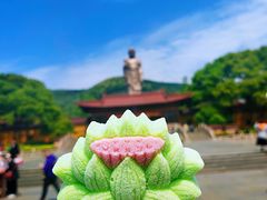 -灵山胜境