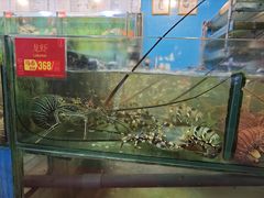 -大茄来海鲜餐厅(亚洲城分行)