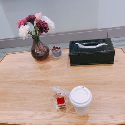 -玛莲朵·海菲秀冰珀科