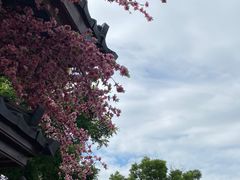 -诗经里