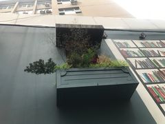 -凡人&庄阿姨的辣(万寿亭店)