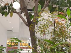 -大树餐厅(红旗街万达店)